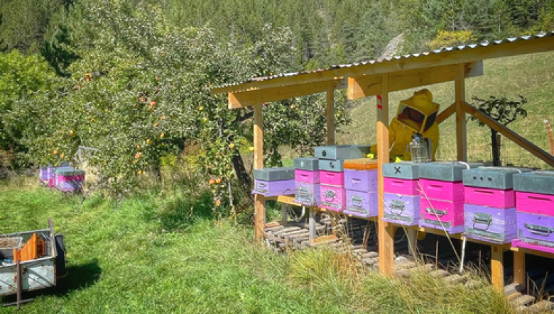 Illustration du pacte agricole : ruchers, vergers, apiculteur